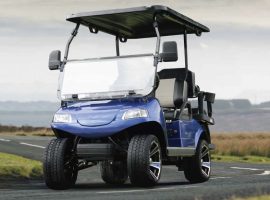 ELEKTRİKLİ GOLF ARABALARI VE TAŞIYICI